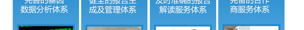 【佳学基因检测】BTD疾病筛查应该包括多少位点